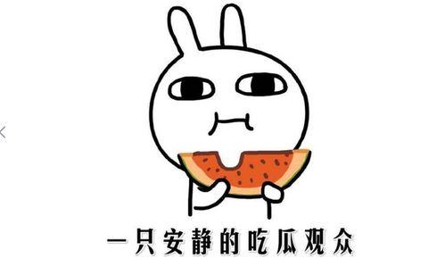 黑料吃瓜事件,真相与谣言的交织