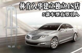 林肯4s店吃瓜黑料